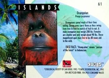 1993 Cardz The World Famous San Diego Zoo Animals of the Wild #61 Orangutan Back