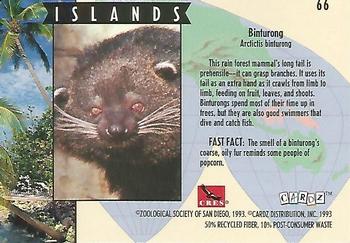 1993 Cardz The World Famous San Diego Zoo Animals of the Wild #66 Binturong Back