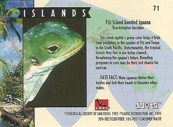 1993 Cardz The World Famous San Diego Zoo Animals of the Wild #71 Fiji Island banded iguana Back