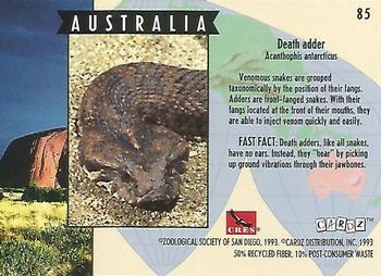 1993 Cardz The World Famous San Diego Zoo Animals of the Wild #85 Death adder Back