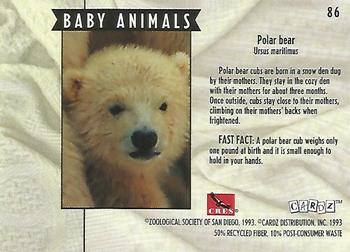 1993 Cardz The World Famous San Diego Zoo Animals of the Wild #86 Polar Bear Back