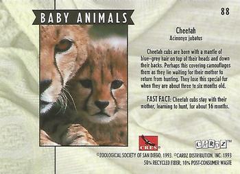 1993 Cardz The World Famous San Diego Zoo Animals of the Wild #88 Cheetah Back