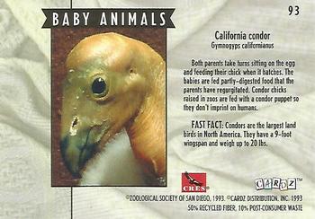 1993 Cardz The World Famous San Diego Zoo Animals of the Wild #93 California Condor Back