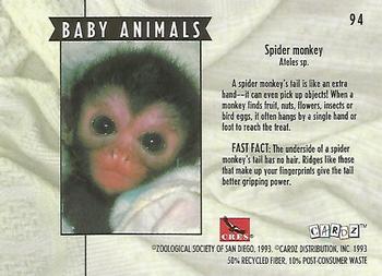 1993 Cardz The World Famous San Diego Zoo Animals of the Wild #94 Spider Monkey Back