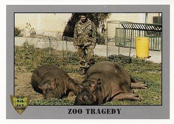 1991 Dart Gulf War Facts #71 Zoo Tragedy Front