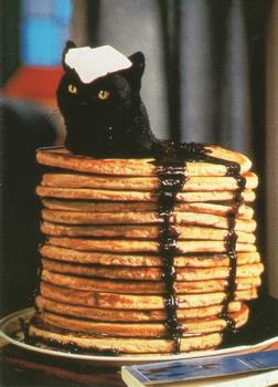1999 Dart Sabrina the Teenage Witch #66 Pancake Madness Front