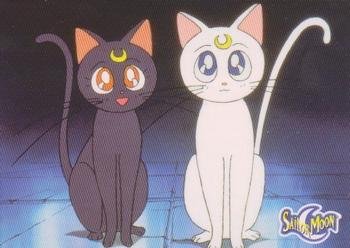 2000 Dart Sailor Moon Archival #35 Luna & Artemis Front