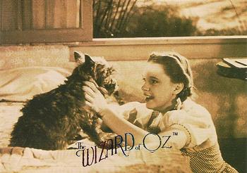1996 DuoCards The Wizard of Oz #5 Toto Front