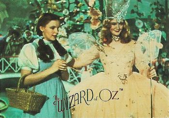 1996 DuoCards The Wizard of Oz #24 Who Are You? Front