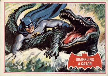 1966 Topps Batman Series A (Red Bat Logo) #2A Grappling a Gator Front