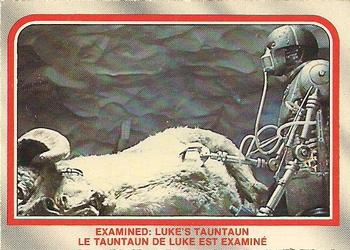 1980 O-Pee-Chee The Empire Strikes Back #21 Examined: Luke's Tauntaun Front