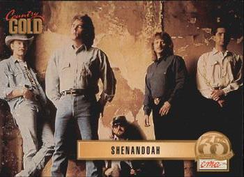1993 Sterling Country Gold 2 #49 Shenandoah Front