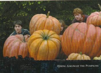 2004 ArtBox Harry Potter and the Prisoner of Azkaban #72 Hiding Amongst the Pumpkins Front