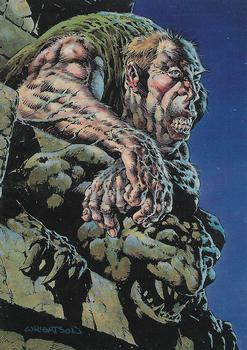 1994 FPG Bernie Wrightson II #13 Why Was I Not Made of Stone Like Thee? Front
