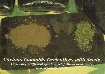 1996 Inline Hemp #2 Various Cannabis Derivatives with Seeds Front