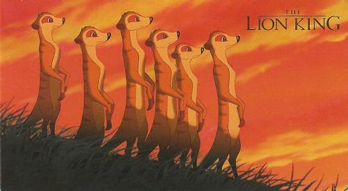 1994 SkyBox The Lion King Widevision #2 The sun rises full and brilliant over the African plain. Front