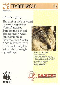 1992 Panini Wildlife In Danger #16 Timber Wolf Back