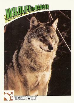 1992 Panini Wildlife In Danger #16 Timber Wolf Front