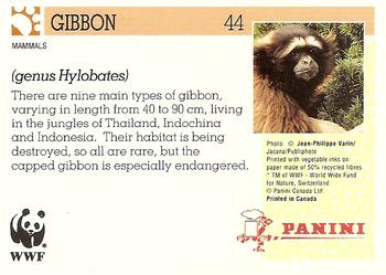 1992 Panini Wildlife In Danger #44 Gibbon Back