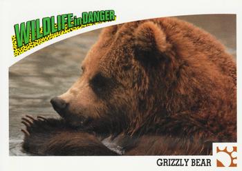 1992 Panini Wildlife In Danger #3 Grizzly Bear Front