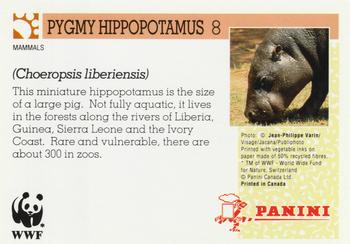 1992 Panini Wildlife In Danger #8 Pygmy Hippopotamus Back