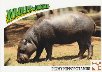 1992 Panini Wildlife In Danger #8 Pygmy Hippopotamus Front