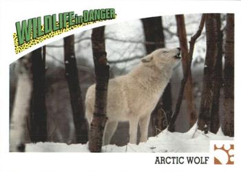 1992 Panini Wildlife In Danger #17 Arctic Wolf Front