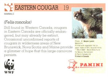 1992 Panini Wildlife In Danger #19 Eastern Cougar Back