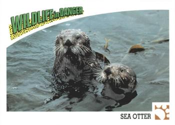 1992 Panini Wildlife In Danger #29 Sea Otter Front