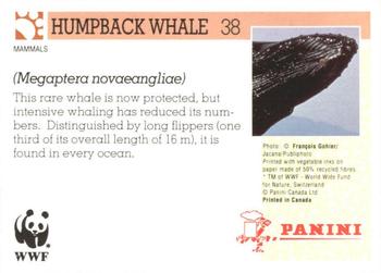1992 Panini Wildlife In Danger #38 Humpback Whale Back