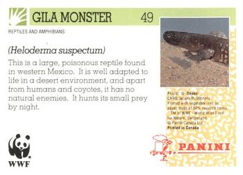 1992 Panini Wildlife In Danger #49 Gila Monster Back