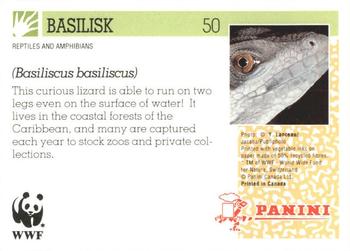 1992 Panini Wildlife In Danger #50 Basilisk Back