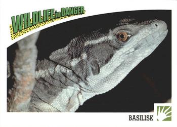 1992 Panini Wildlife In Danger #50 Basilisk Front