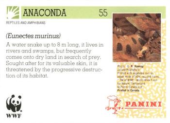 1992 Panini Wildlife In Danger #55 Anaconda Back