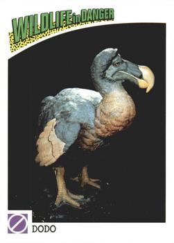 1992 Panini Wildlife In Danger #86 Dodo Front