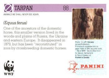 1992 Panini Wildlife In Danger #88 Tarpan Back
