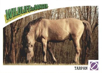 1992 Panini Wildlife In Danger #88 Tarpan Front