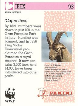 1992 Panini Wildlife In Danger #98 Ibex Back