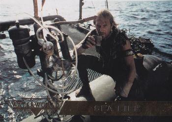 1995 Ultra Waterworld #10 Sea Life Front