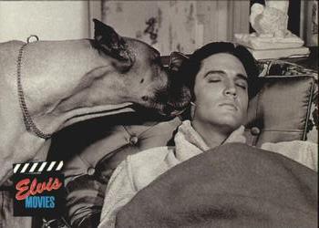 1992 The River Group The Elvis Collection #89 Elvis frequently turned his famly and friends... Front