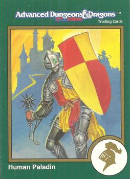 1993 TSR Advanced Dungeons & Dragons 2nd Edition #280 Create-Your-Own Human Paladin Front