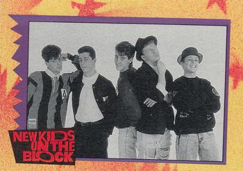 1989 Topps New Kids on the Block #15 NKOTB Quiz! Question #5 Front