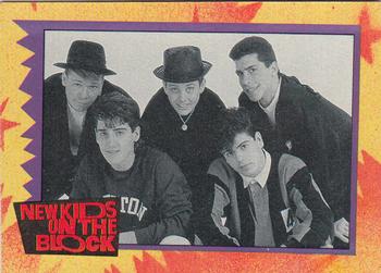 1989 Topps New Kids on the Block #16 NKOTB Quiz! Question #6 Front