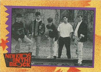 1989 Topps New Kids on the Block #14 NKOTB Quiz! Question #4 Front