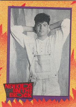 1989 Topps New Kids on the Block #48 Did You Know... Front