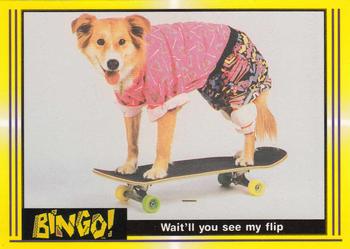 1991 Pacific Bingo #4 Wait'll you see my flip Front
