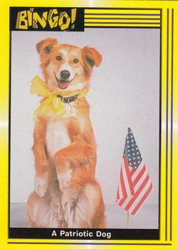 1991 Pacific Bingo #7 A Patriotic Dog Front