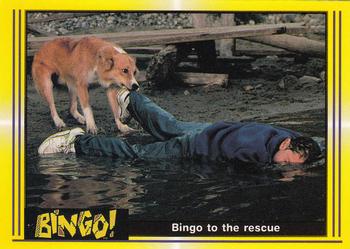1991 Pacific Bingo #23 Bingo to the rescue Front