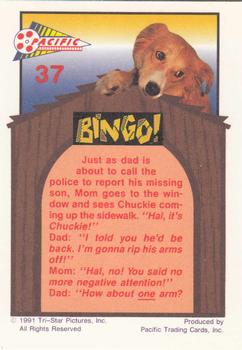 1991 Pacific Bingo #37 Hal, It's Chuckie! Back