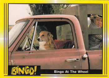 1991 Pacific Bingo #59 Bingo At The Wheel Front